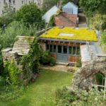 green sedum roof