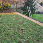 Sedum Matting - Image 4