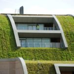 Green Roof Slope