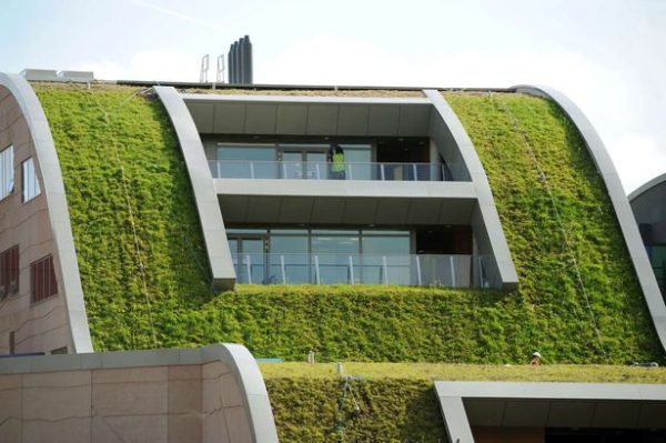 Green Roof Slope