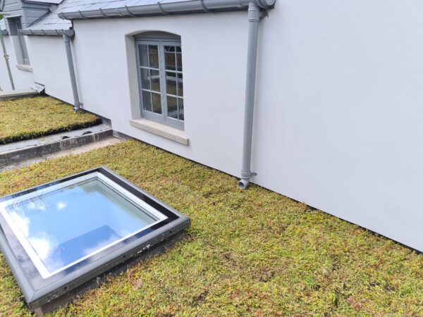 Sedum Surveys & full service