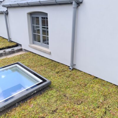 Sedum Surveys & full service